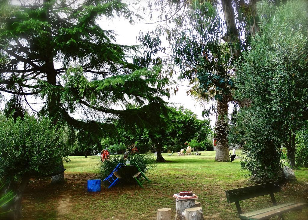 Apartments Karpetis A Green Paradise プサコウディア エクステリア 写真