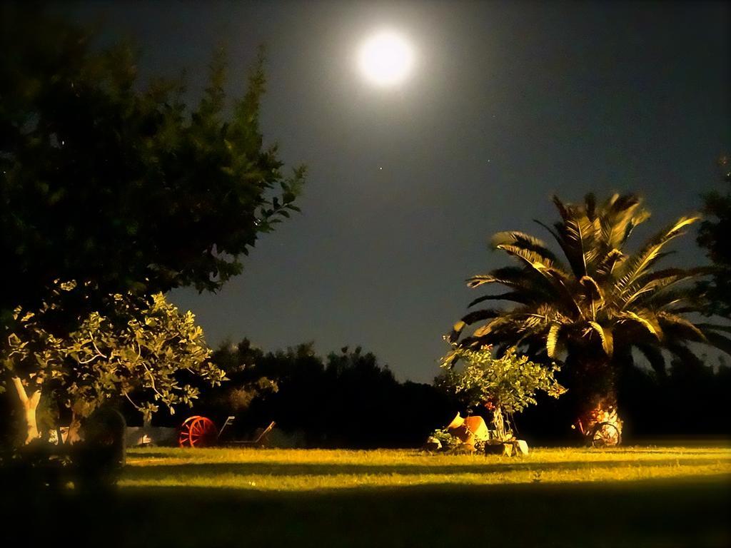 Apartments Karpetis A Green Paradise プサコウディア エクステリア 写真
