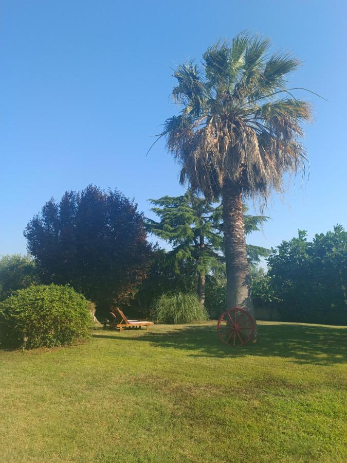 Apartments Karpetis A Green Paradise プサコウディア エクステリア 写真