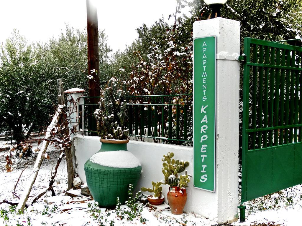 Apartments Karpetis A Green Paradise プサコウディア エクステリア 写真