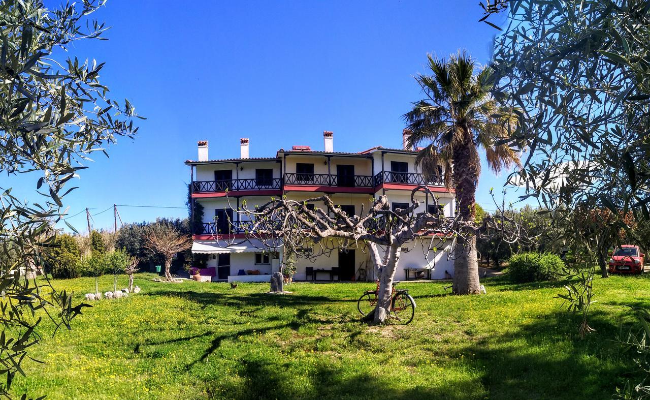 Apartments Karpetis A Green Paradise プサコウディア エクステリア 写真